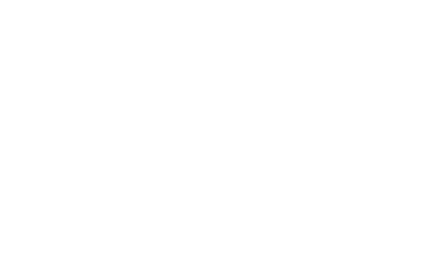 Simply Safe - Rev